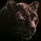 PantherX