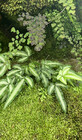 VSUN05