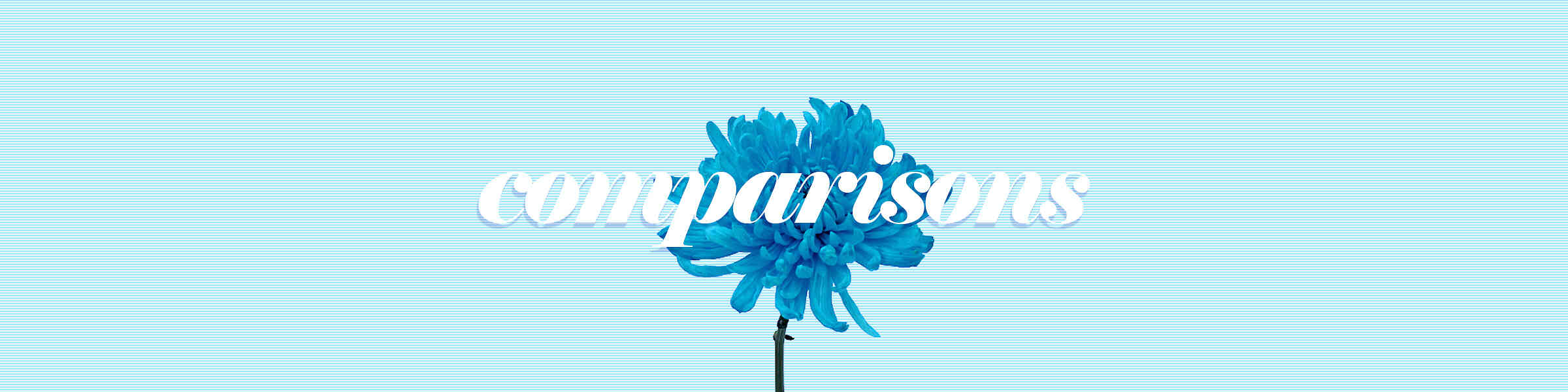 Redbubble banner for @comparisons