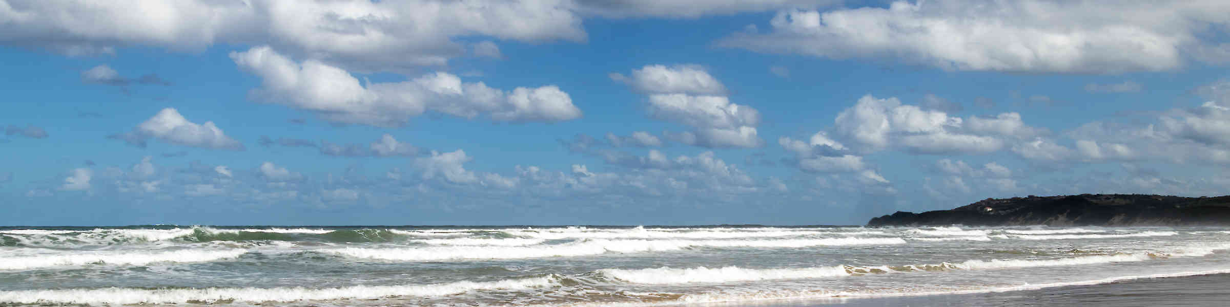 Banner des Künstlershops