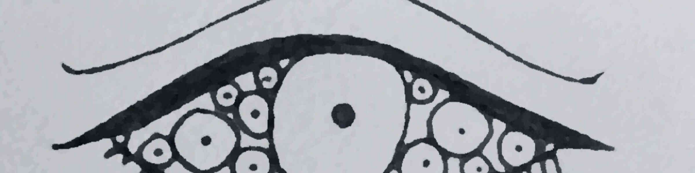 Redbubble banner for @glum