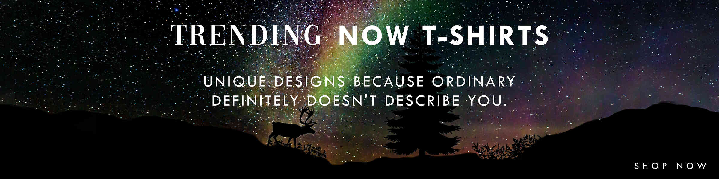 Artist shop banner image