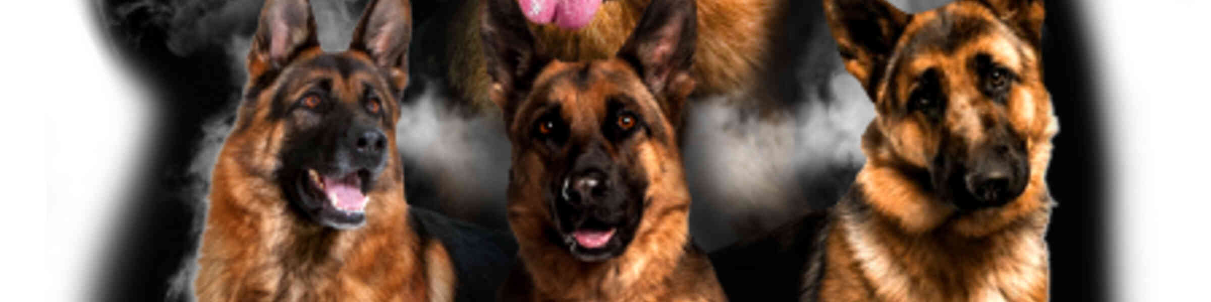 Nathan256 Shop Redbubble