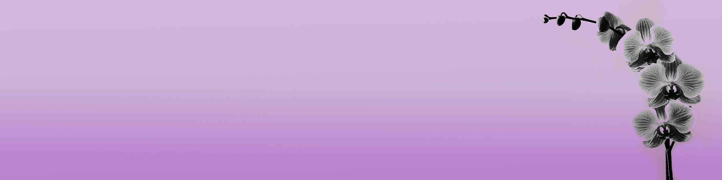Redbubble banner for @During