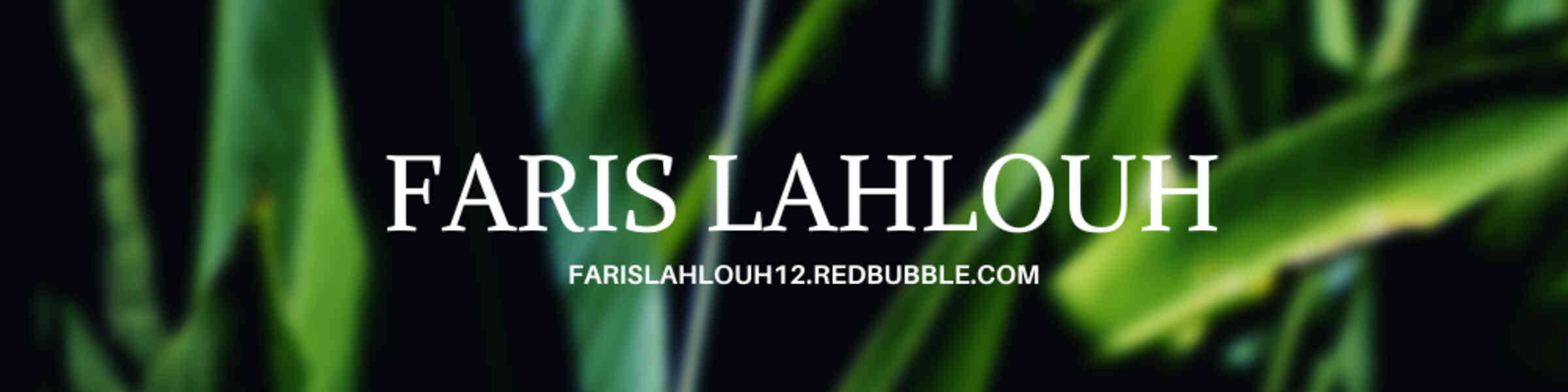 Artist shop banner image