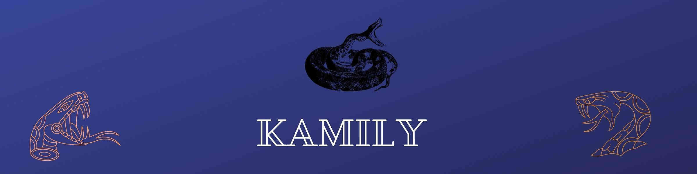 Redbubble banner for @Kamily