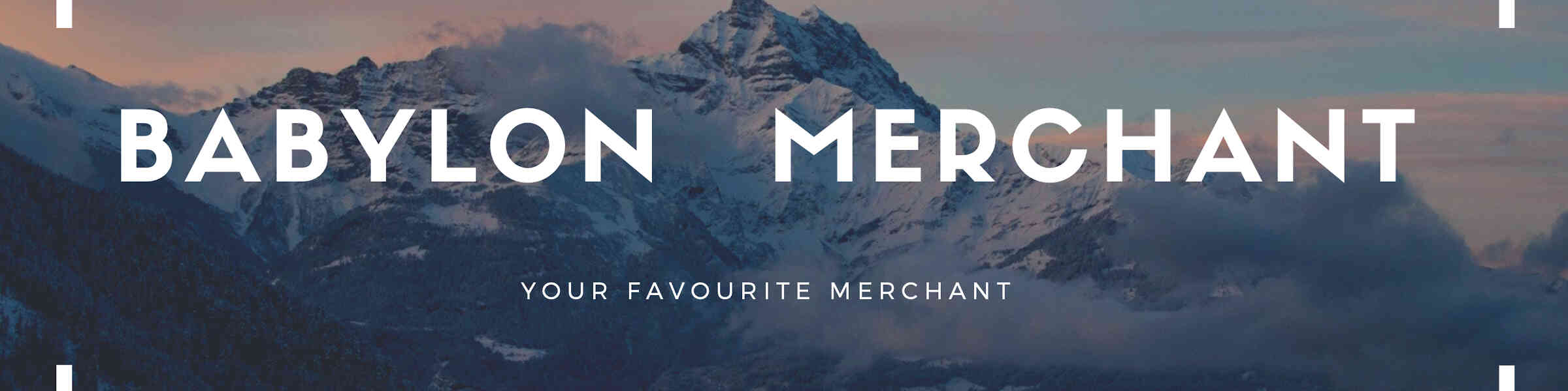Artist shop banner image