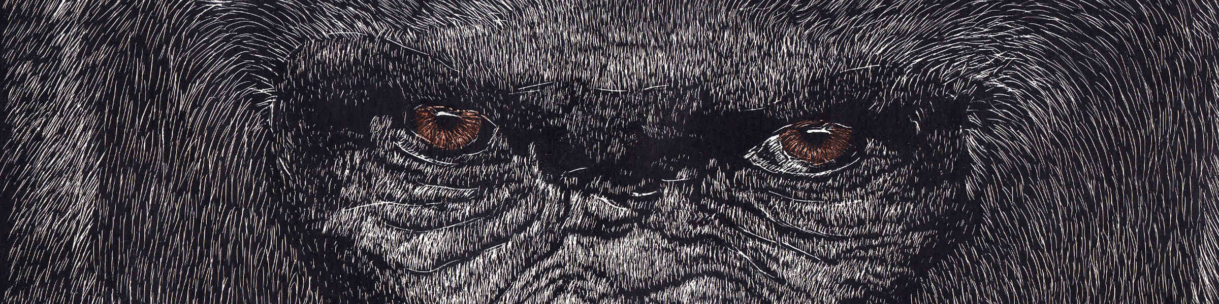 Banner des Künstlershops
