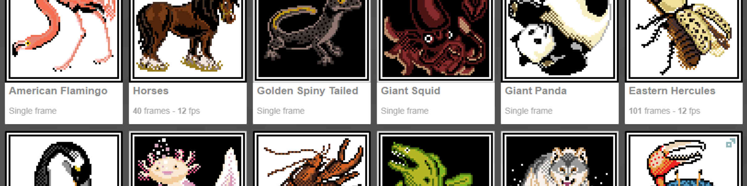 Artist shop banner image