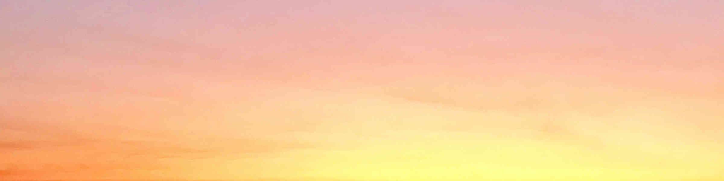 Banner des Künstlershops