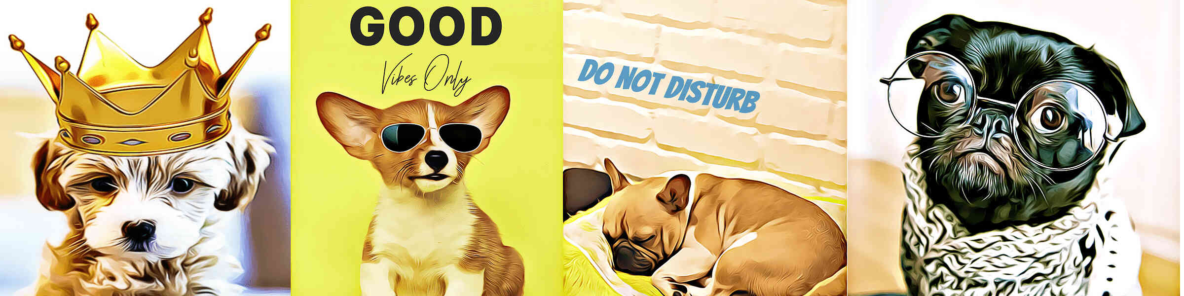 Artist shop banner image