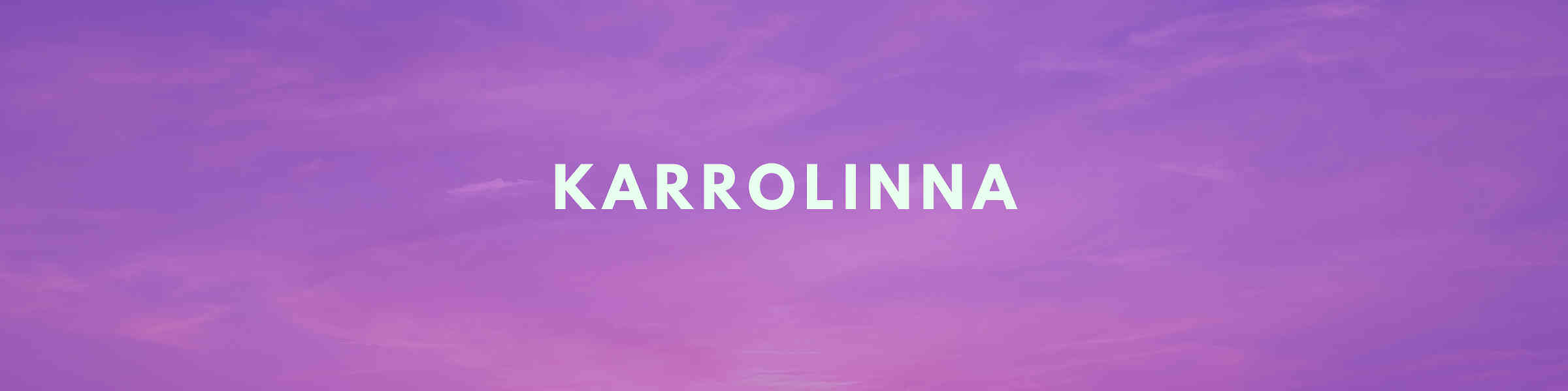 Artist shop banner image