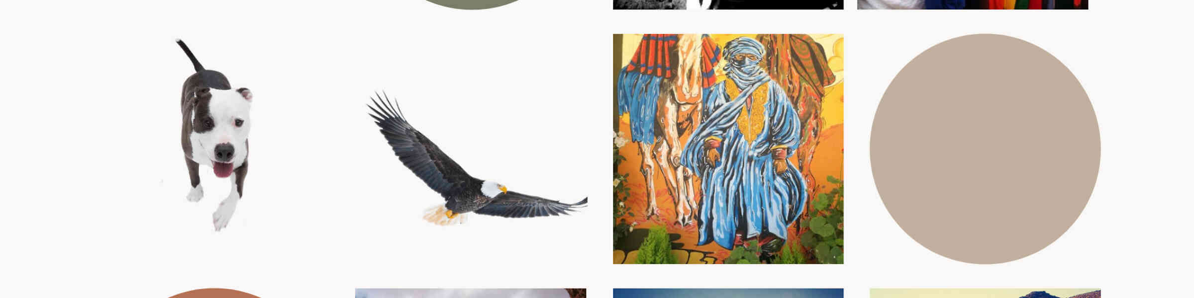 Artist shop banner image