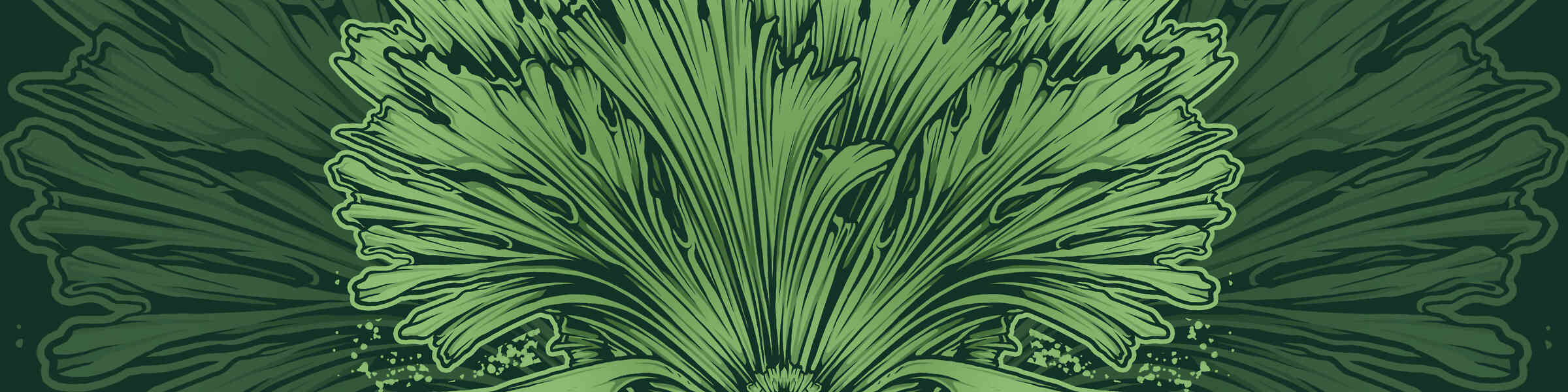 Farhanfatich Shop Redbubble