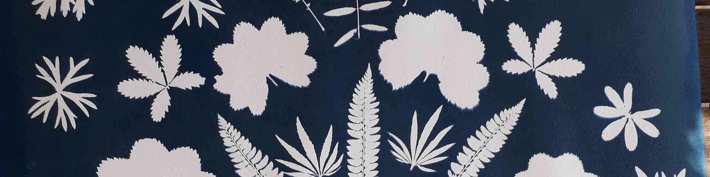 Redbubble banner for @Boise