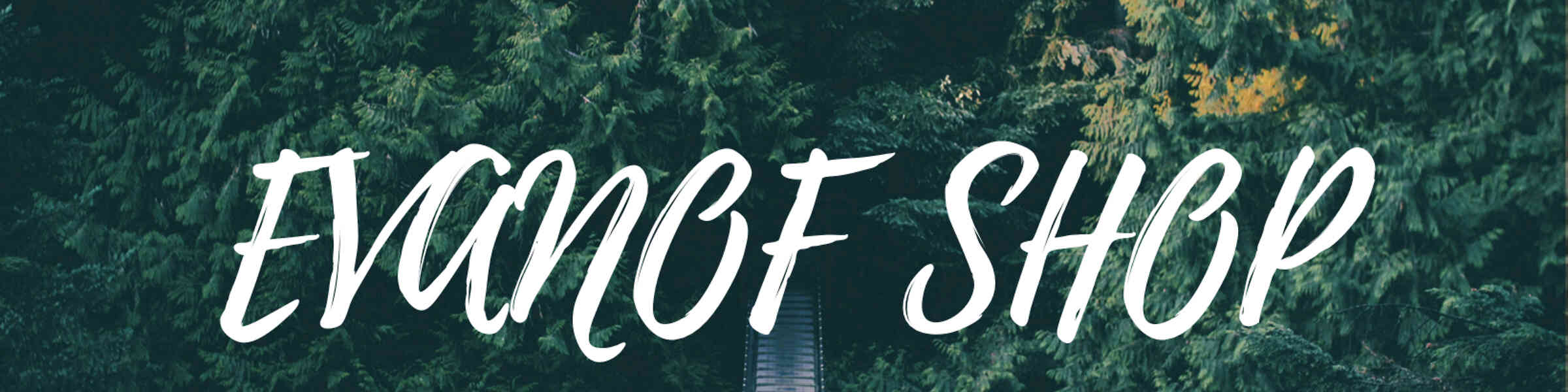 Artist shop banner image