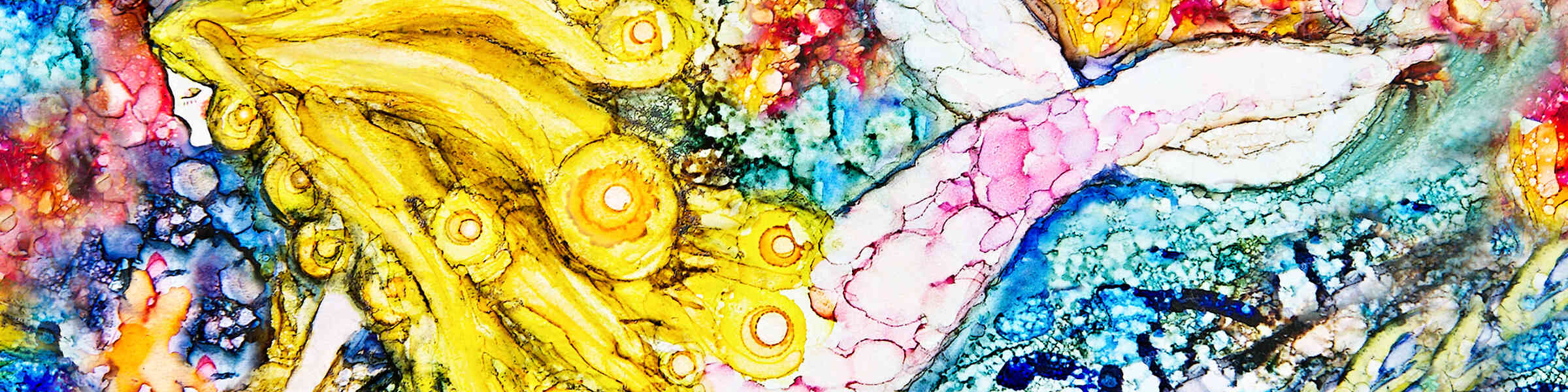 Redbubble banner for @Nancy