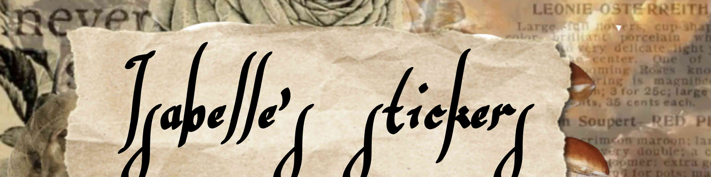Artist shop banner image