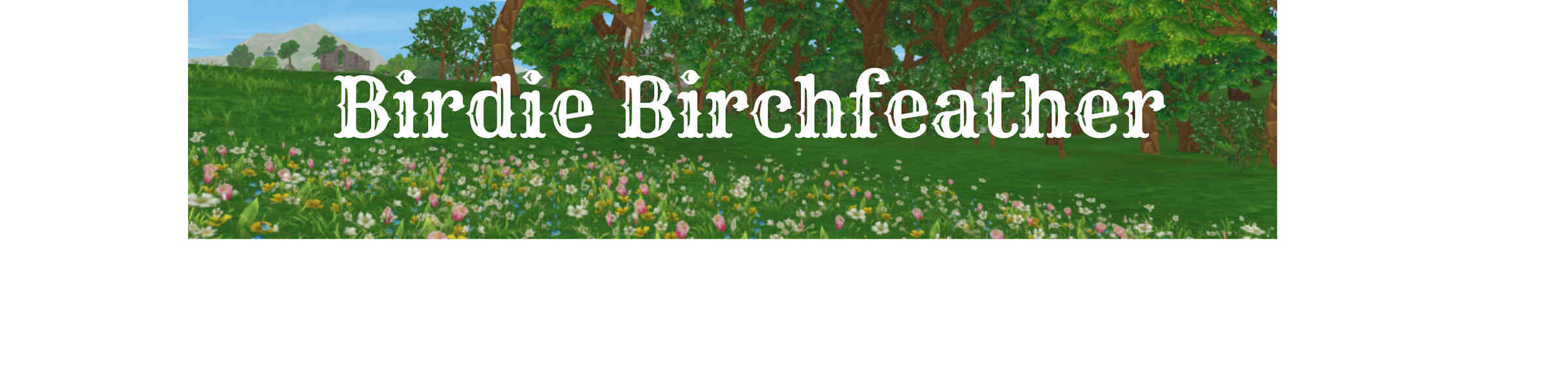 Artist shop banner image
