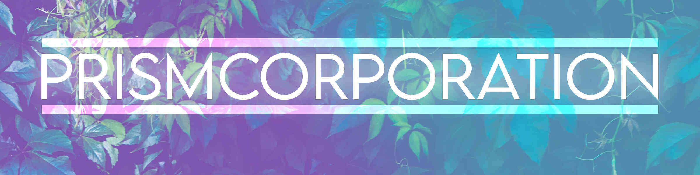 Banner des Künstlershops