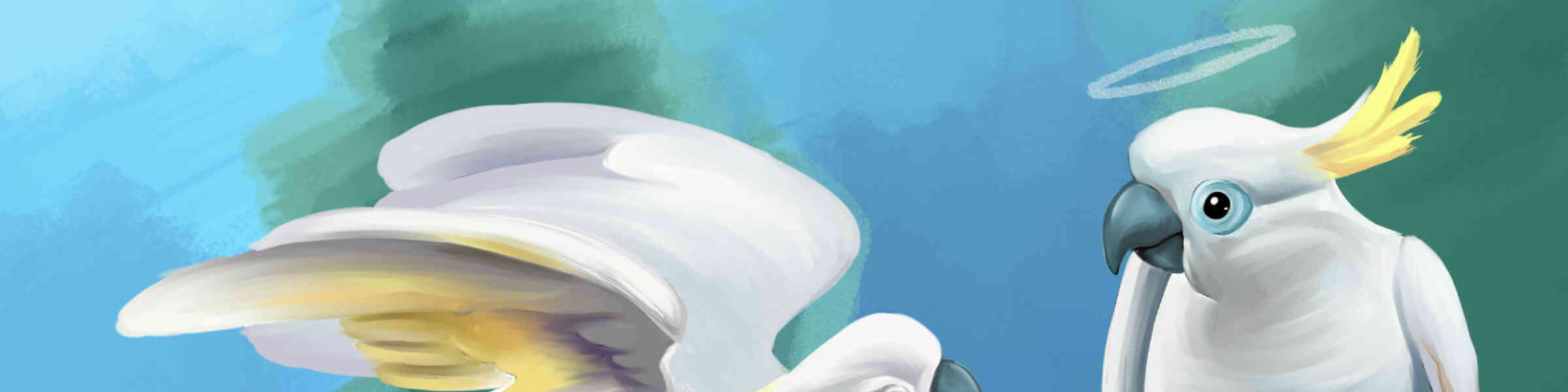 Imagen de portada de la tienda del artista