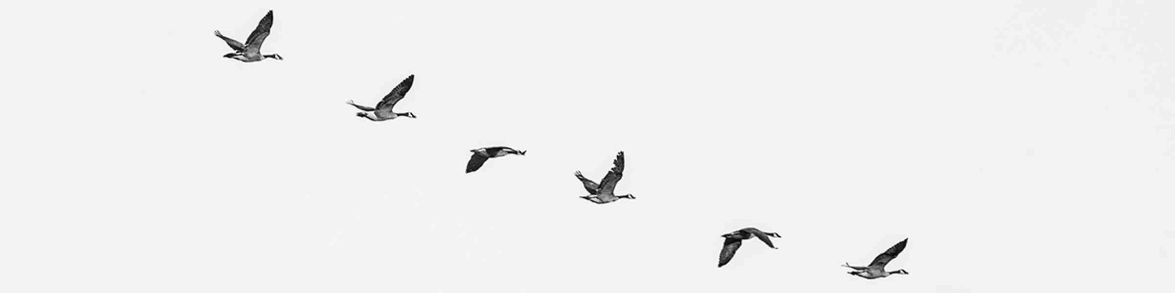 Redbubble banner for @jayde