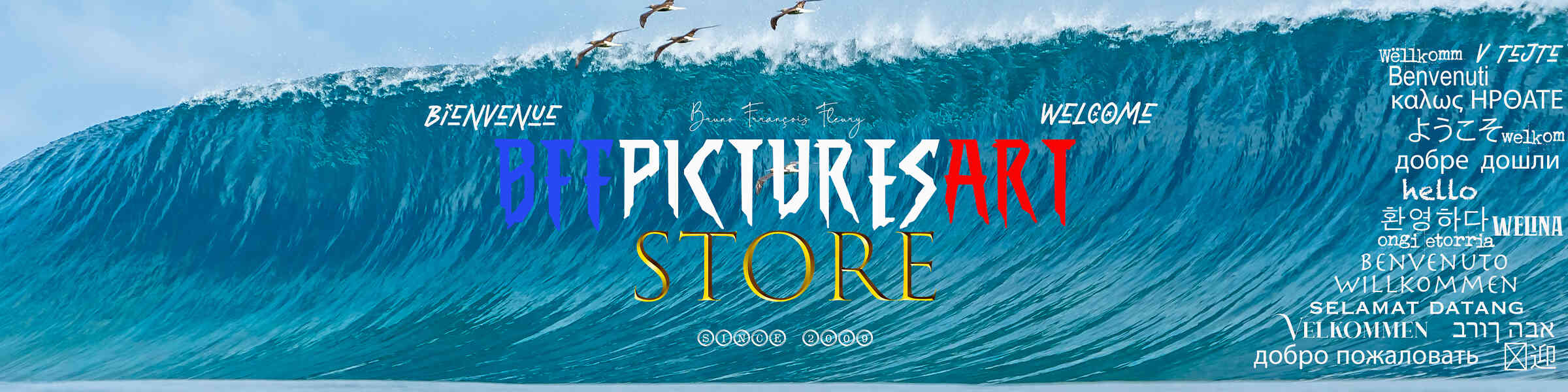 Artist shop banner image