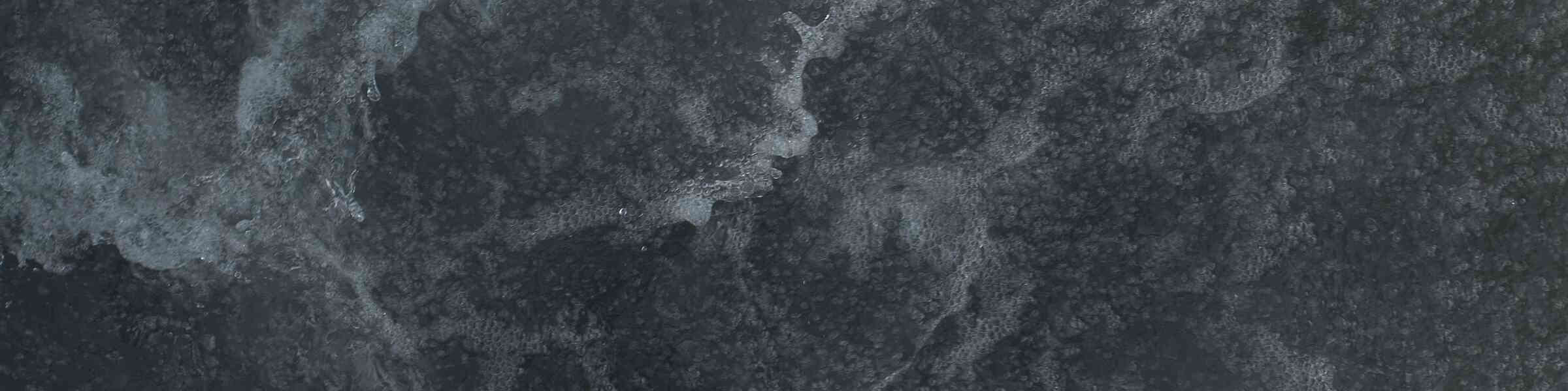 Banner des Künstlershops