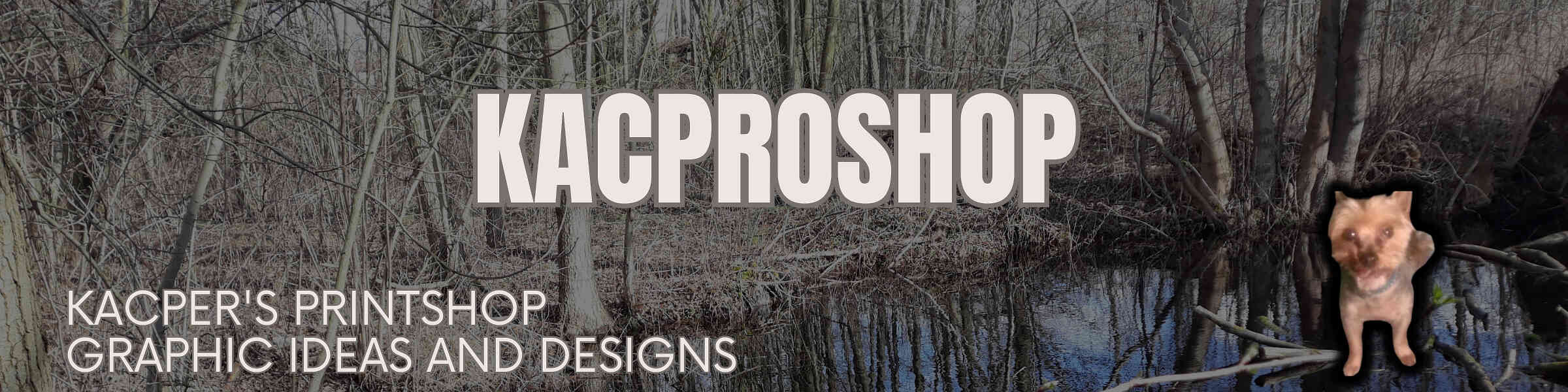 Artist shop banner image