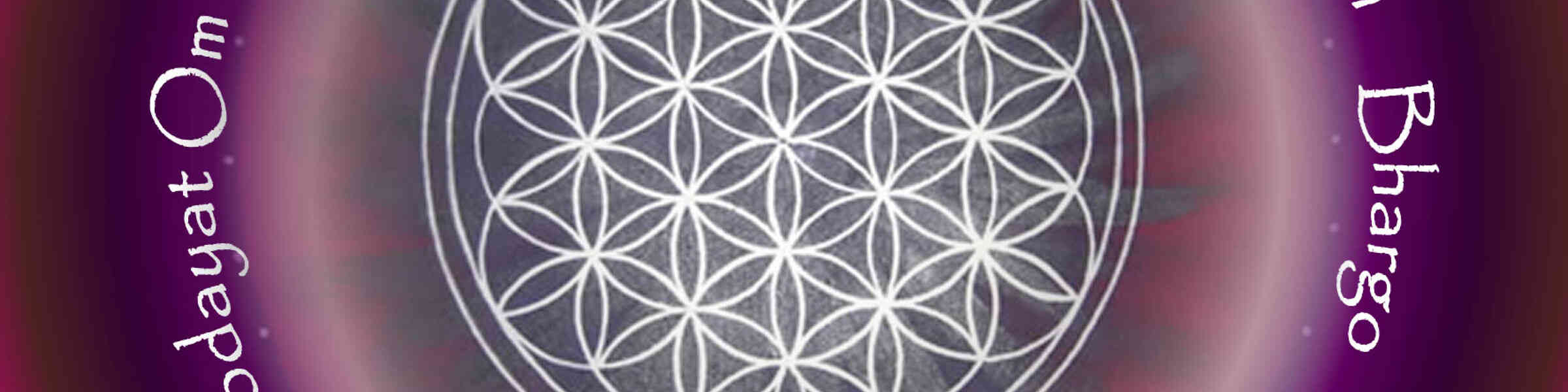 Banner des Künstlershops