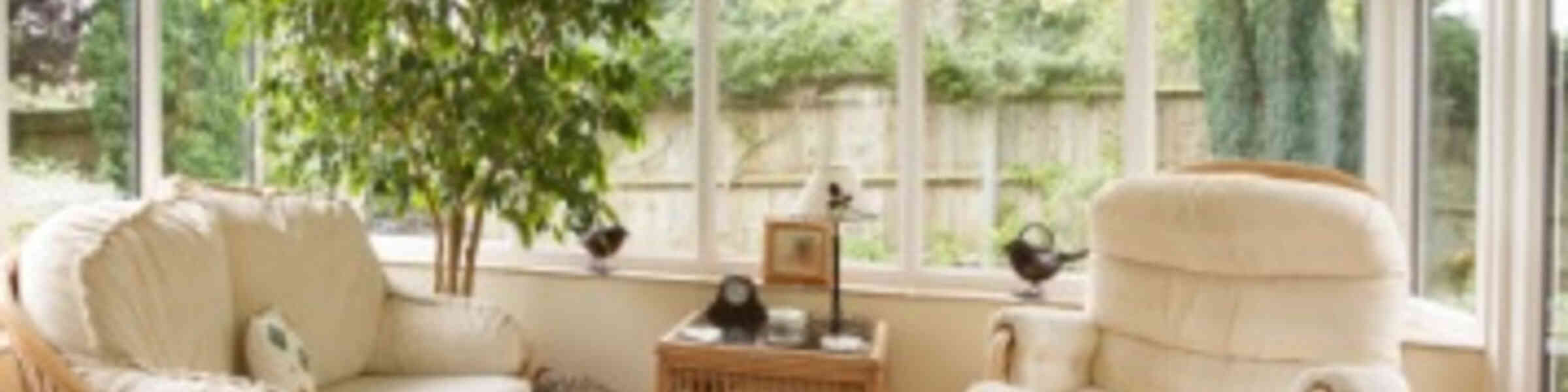 Redbubble banner for @conservatory