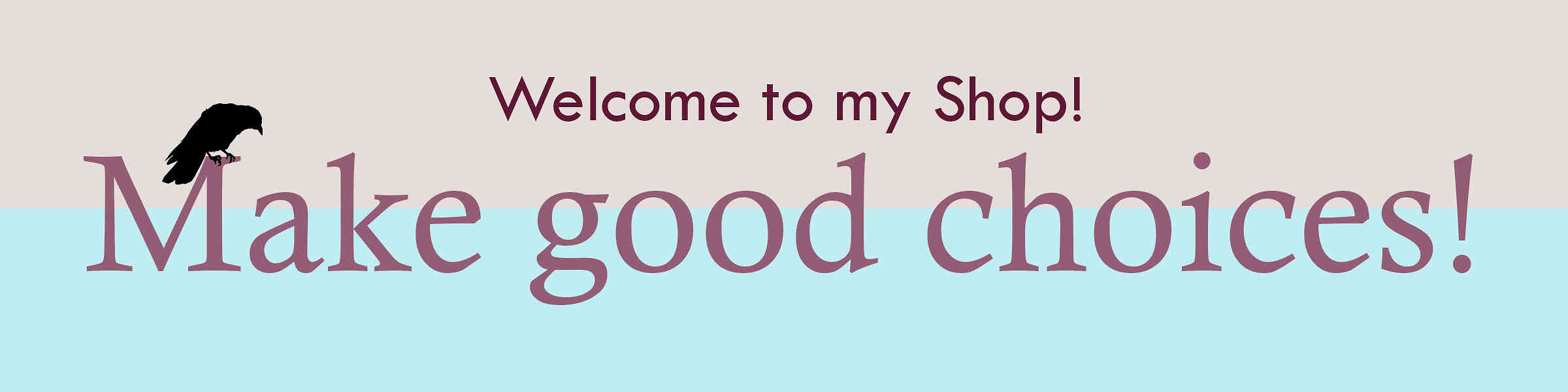 Artist shop banner image