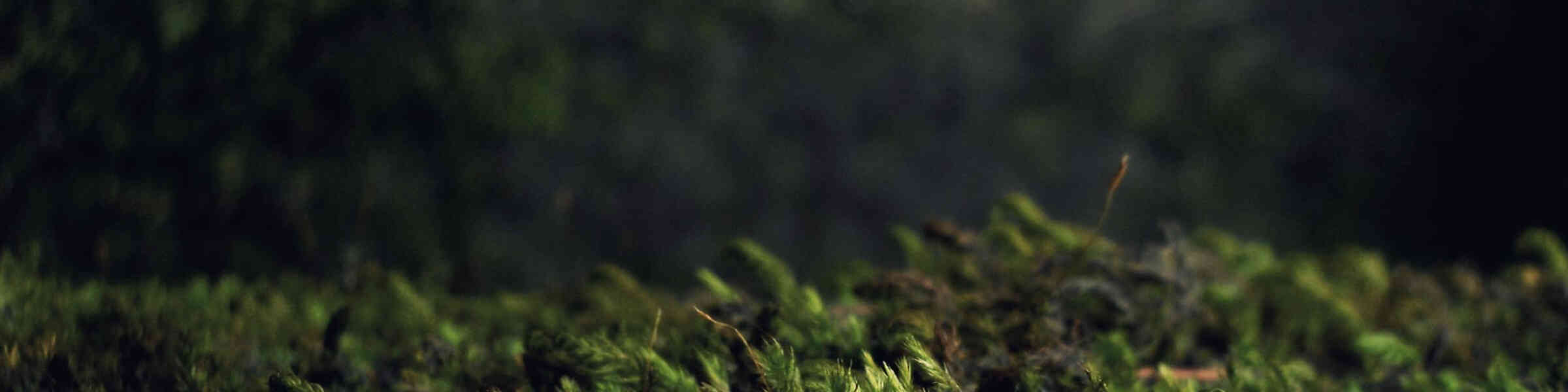 Redbubble banner for @Discarded