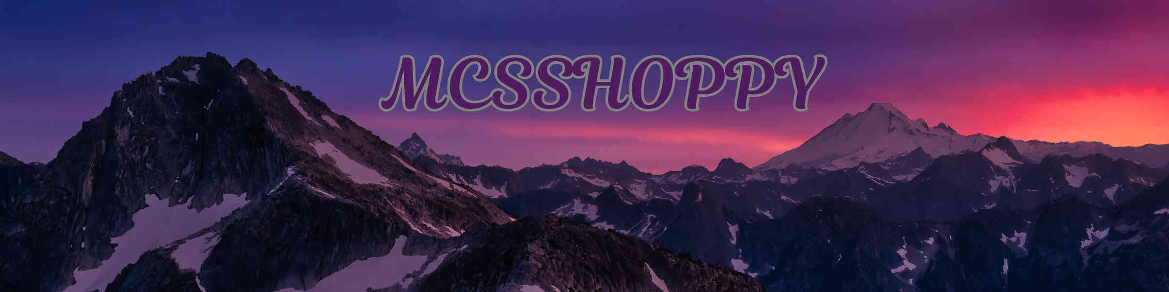 Artist shop banner image