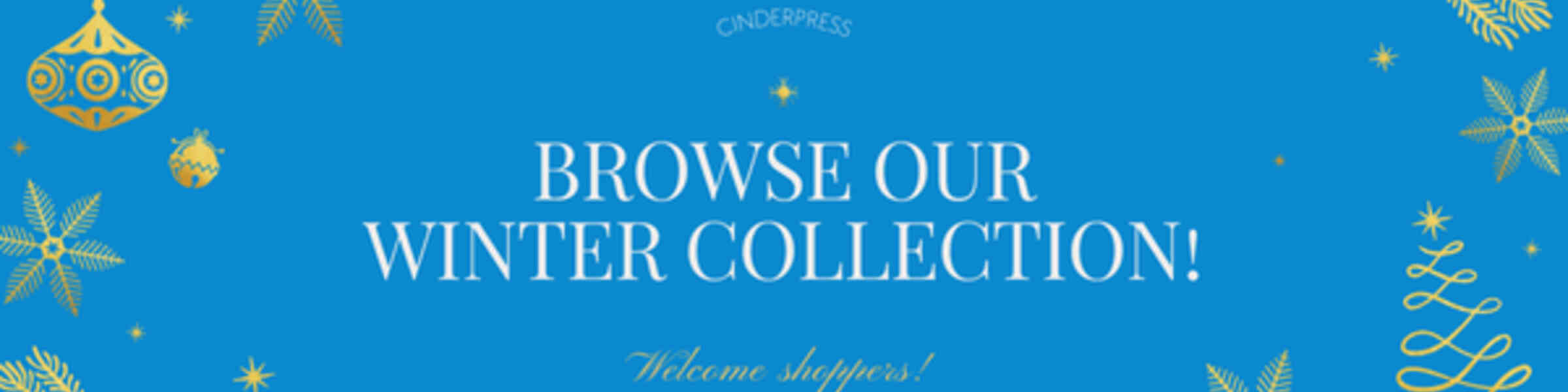 Artist shop banner image