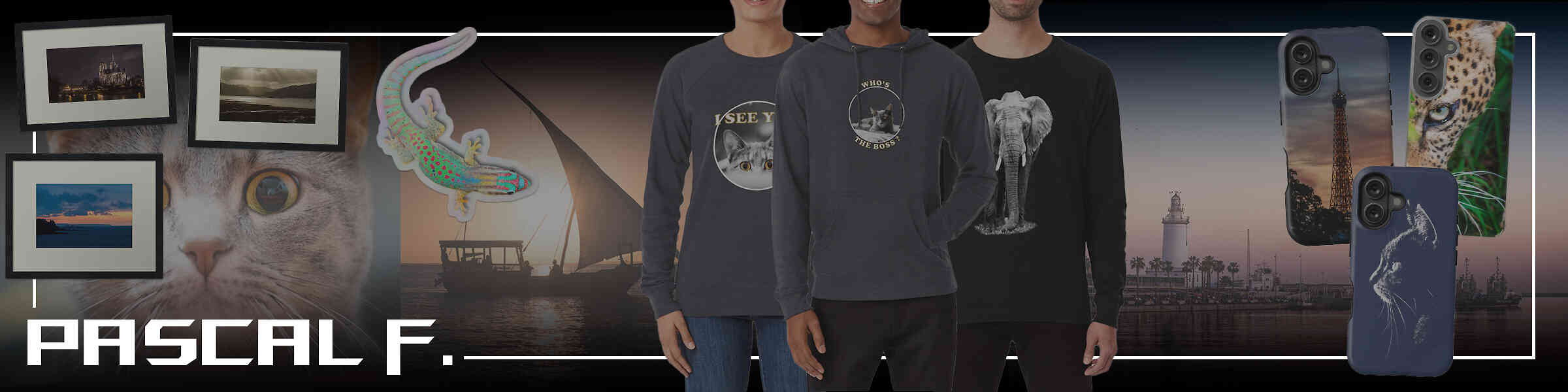 Artist shop banner image