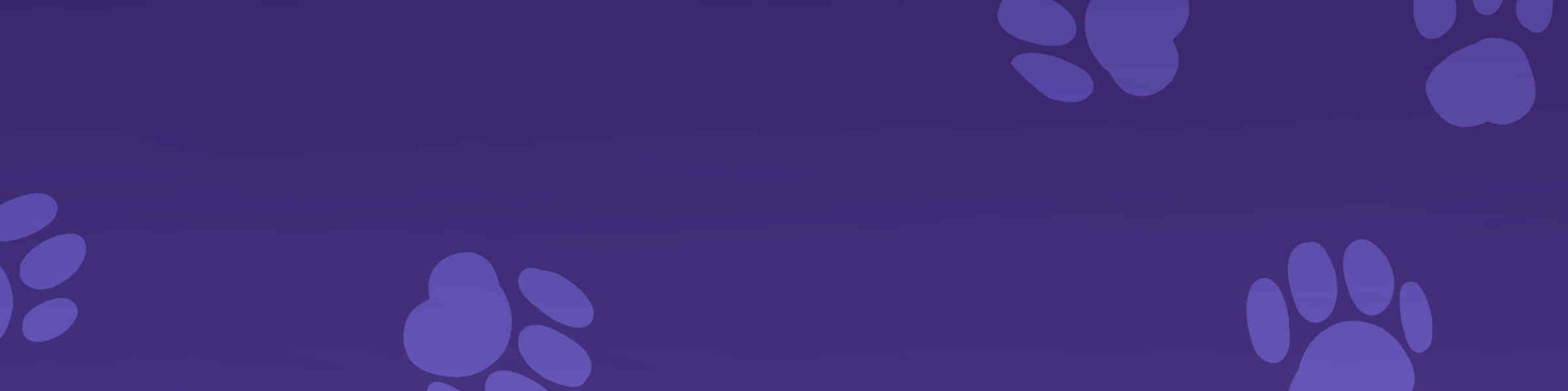Banner des Künstlershops