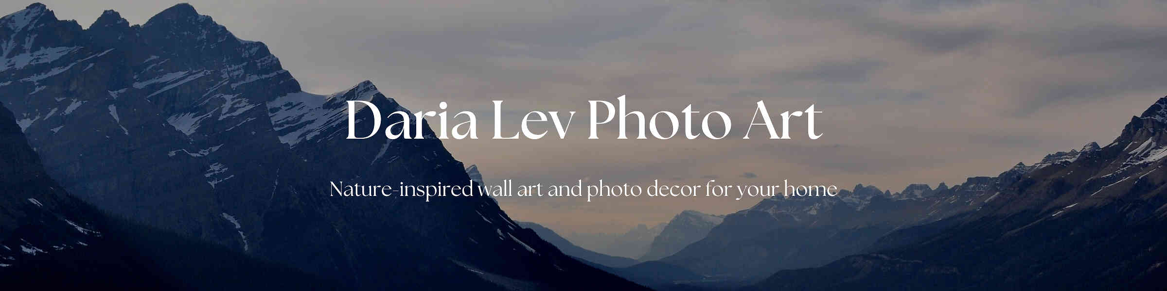 Artist shop banner image
