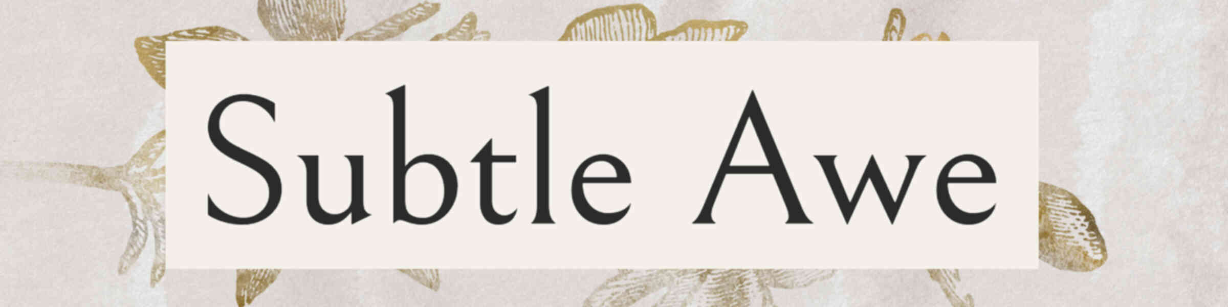 Artist shop banner image