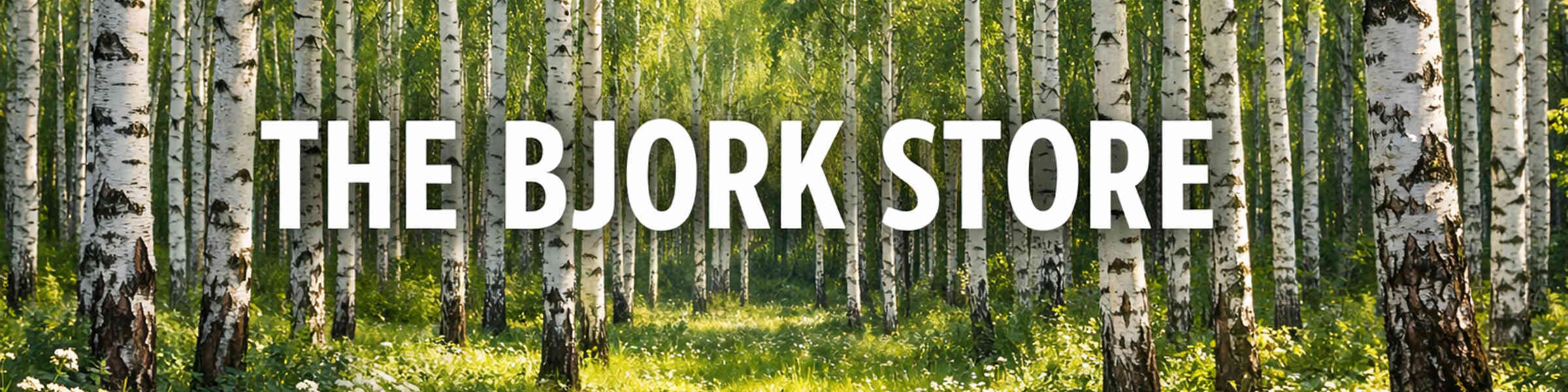 Artist shop banner image