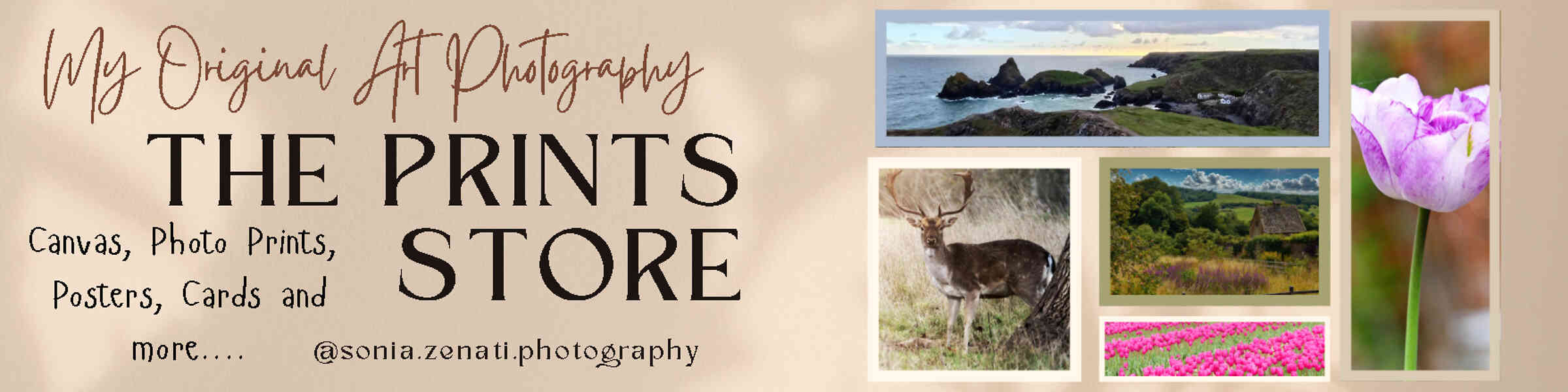 Artist shop banner image