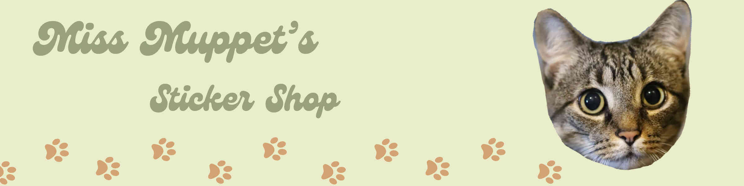 Artist shop banner image