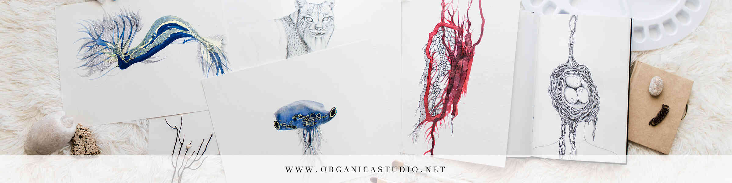 Artist shop banner image