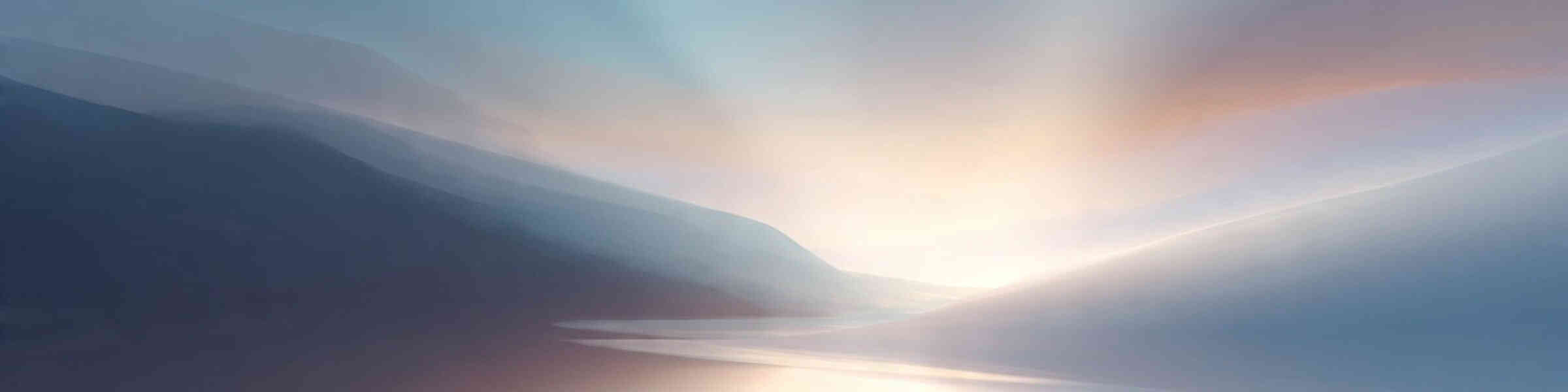 Banner des Künstlershops