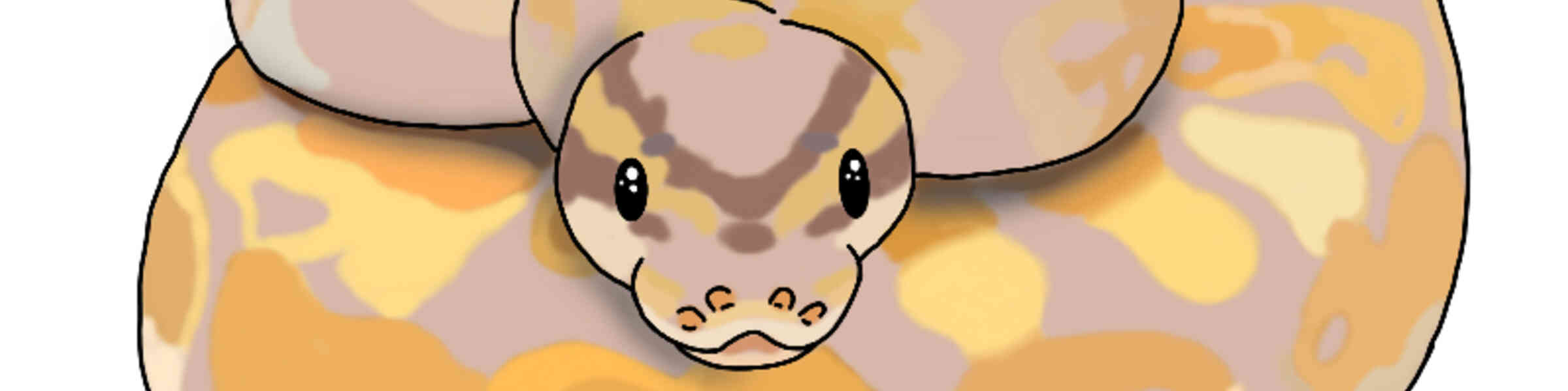 Imagen de portada de la tienda del artista
