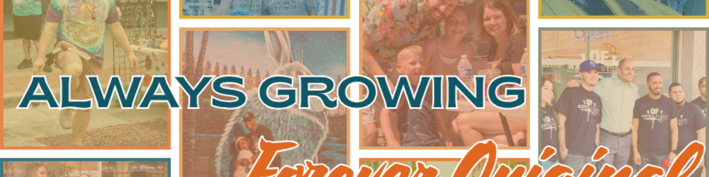 Banner des Künstlershops