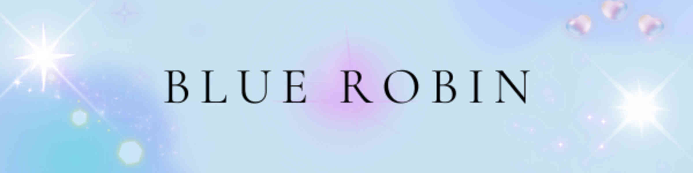 Banner des Künstlershops