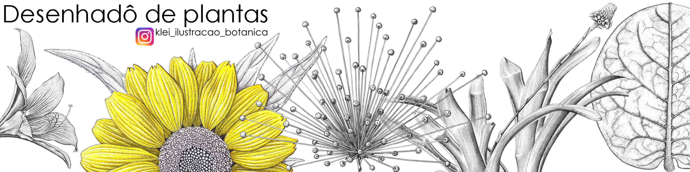 Banner des Künstlershops