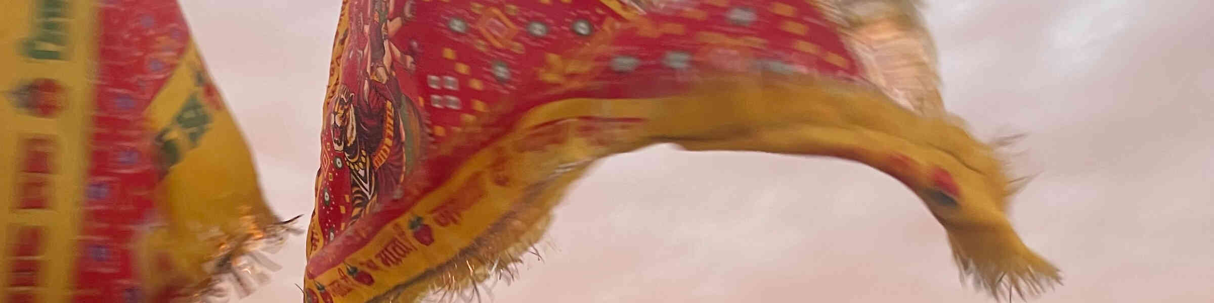 Banner des Künstlershops