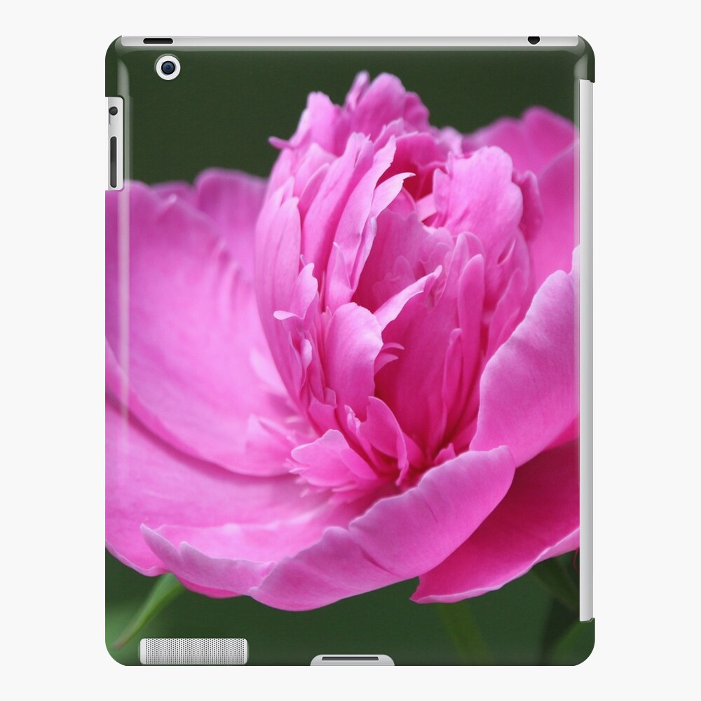Pink passion iPad Case & Skin